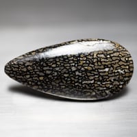 ダイナソーボーン　ルース　M065