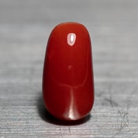 血赤珊瑚　ルース　35404