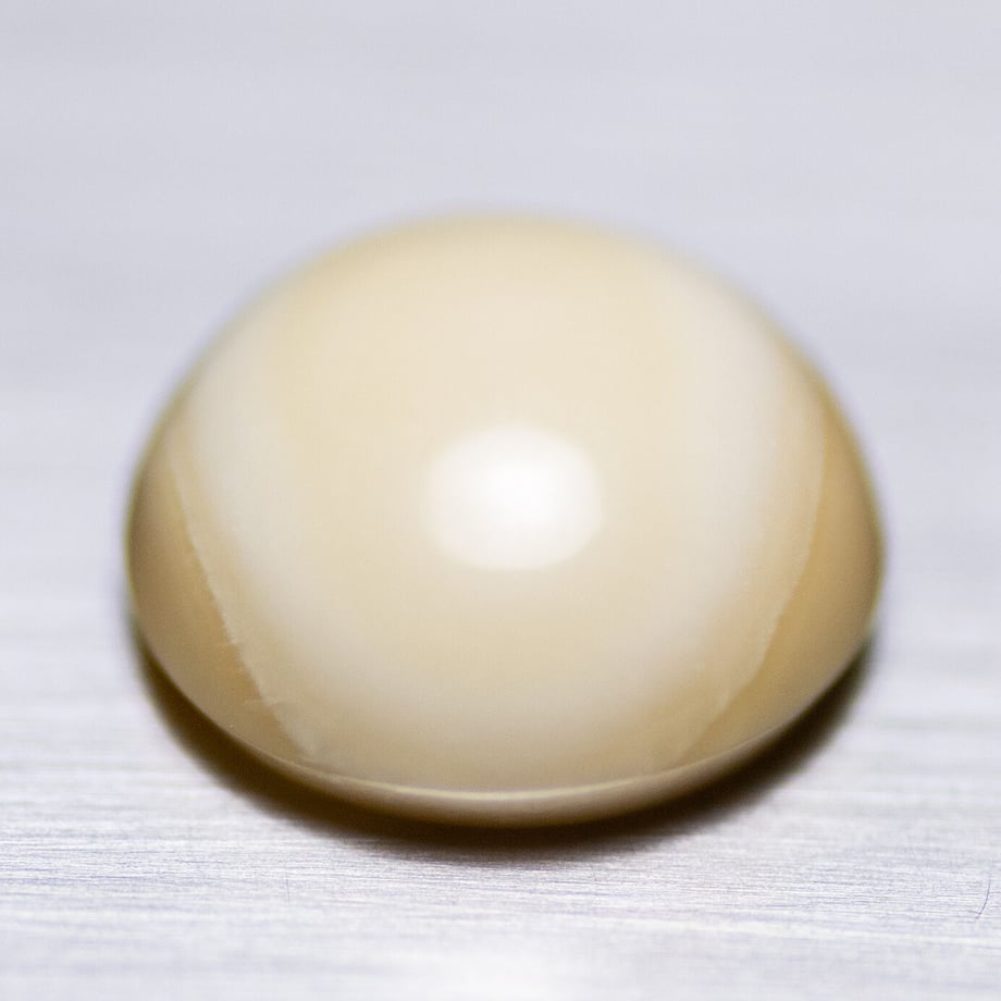 5fc8750dda019c0b3f899021