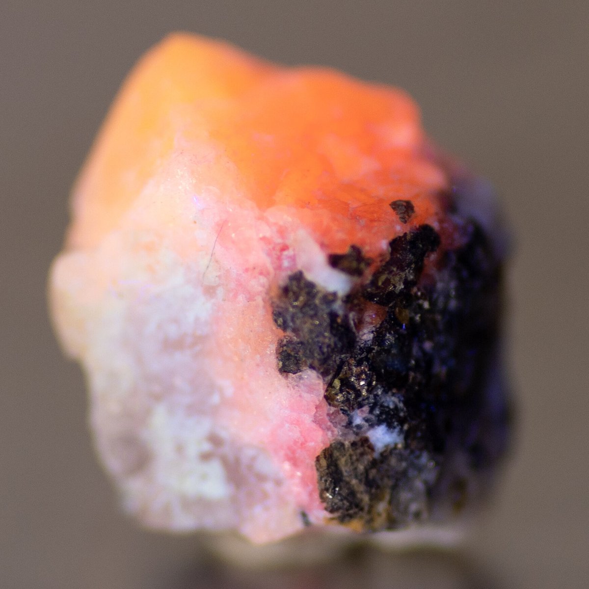 ツグツパイト 原石 291006 | mineralhonpo ツグツパイト 原石 291006 | mineralhonpo