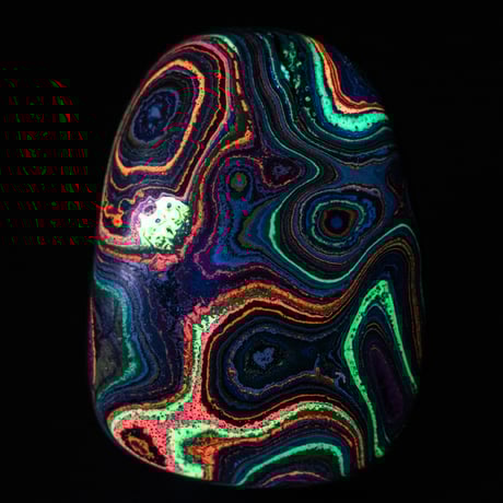 フォーダイト | STORES