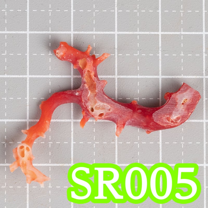 早い者勝ち‼︎‼︎最終の最終処分価格‼︎‼︎●入手困難●血赤珊瑚バラピンブローチ 血赤本珊瑚 ブローチの買取実績 | 買取専門店さすがや