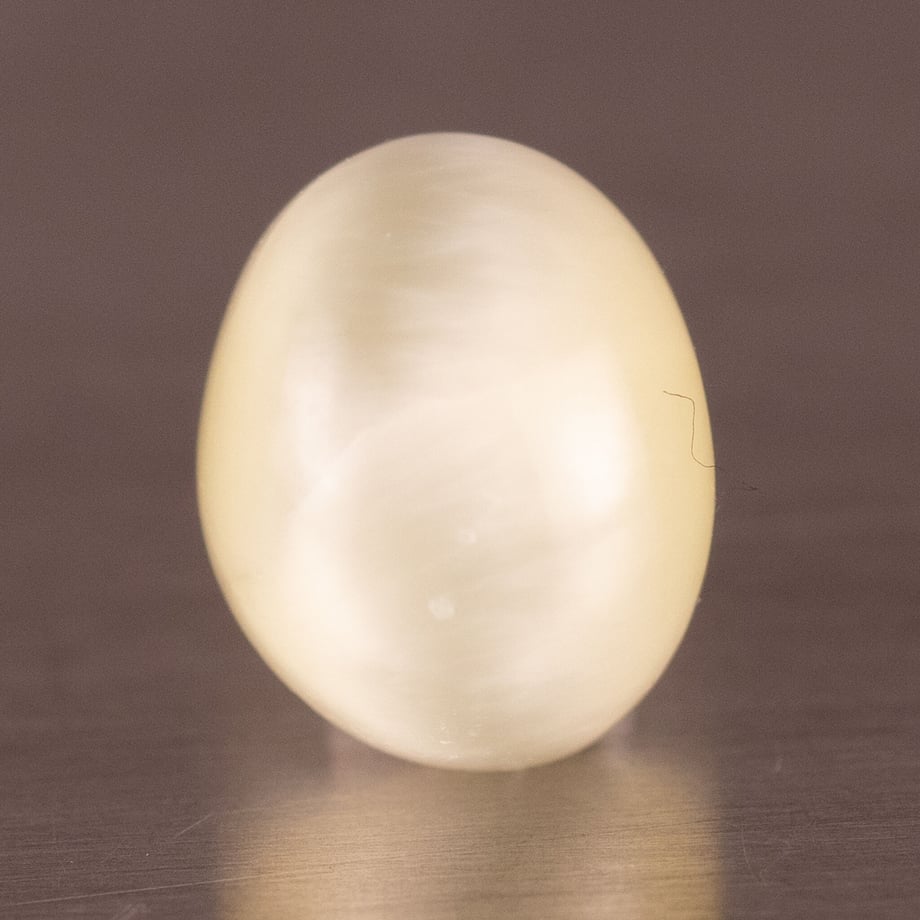 6419528c581657002e63ce42