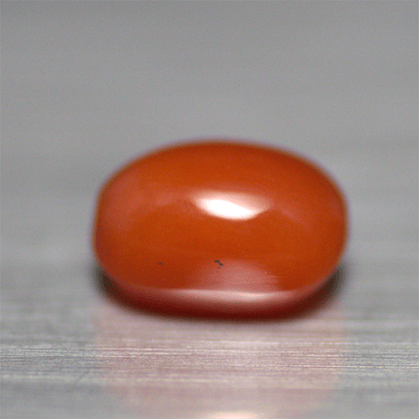 赤珊瑚　ルース　015