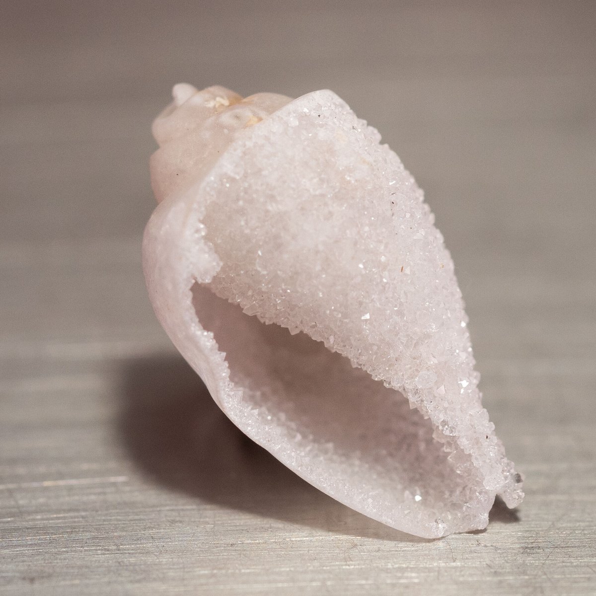 ドゥルージーシェルアゲート 36516 | mineralhonpo