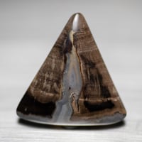 ペトリファイドウッド　ルース　M0294