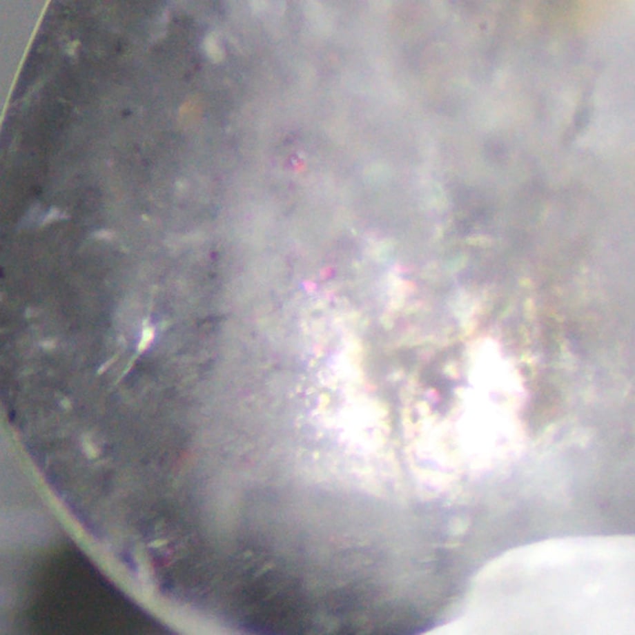 5eea2b52561e1755ec04def7