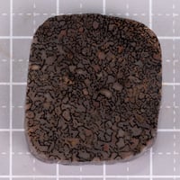 ダイナソーボーン　未研磨原石　M0379