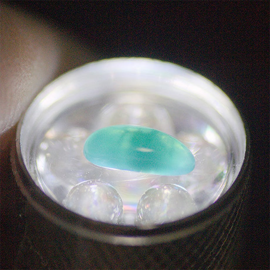56b8b1163cd4827dc900298a