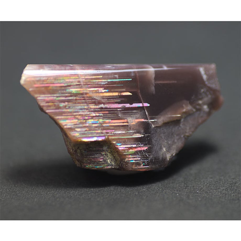 5954f561c8f22c3c9b004457