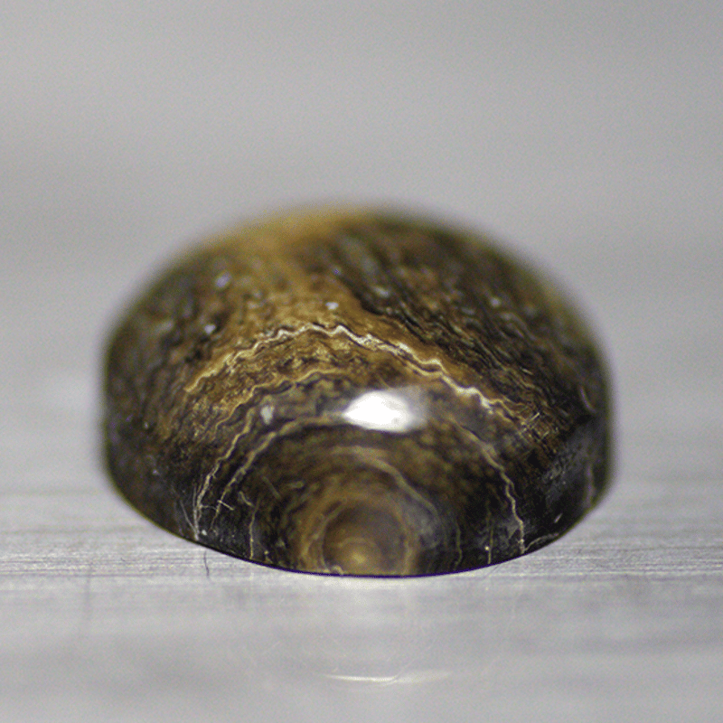 深海松 ルース 003 | mineralhonpo