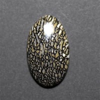ダイナソーボーン　ルース　023