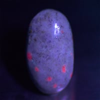 ボルダールビー　　　225006