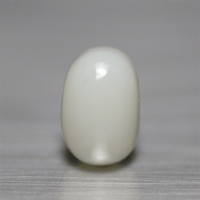 白珊瑚　ルース　37009