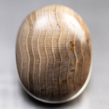 ミャンマー産 ウッドカルセドニー(ペトリファイドウッド)ルース CATEGORY ペトリファイドウッド | mineralhonpo