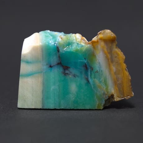 CATEGORY ペトリファイドウッド | mineralhonpo