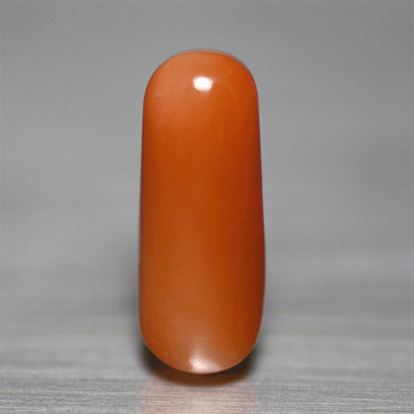 赤珊瑚　ルース　37016