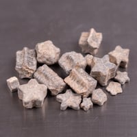 ウミユリの化石 296011 | mineralhonpo