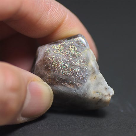 サンムーン | STORES