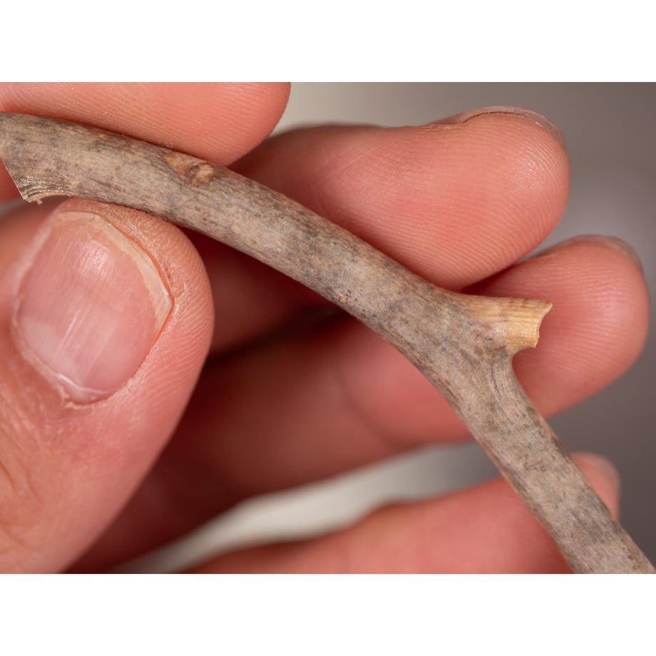 65fc14f38ea9bd002913803e