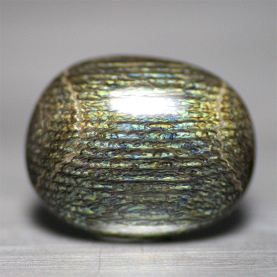 深海松 海松 虹彩珊瑚 レインボーコーラル 金松 深海松 海松 虹彩珊瑚