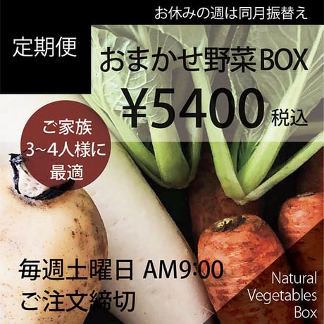 【定期便】おまかせ野菜BOX-Lサイズ