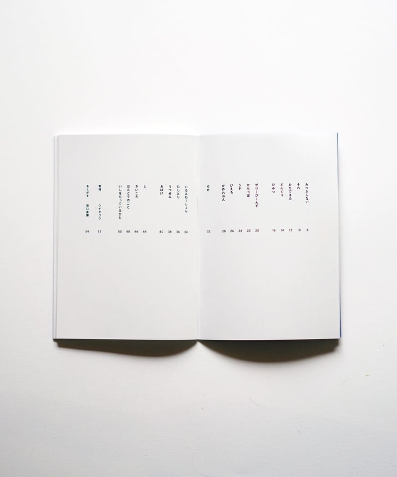 【中古】 琴おぼろ 句集/文学の森/軽部美喜枝 坂口直謙 第一詩集『いるみねーしょん』 | SHITEKI NA SHIGOTO STORE