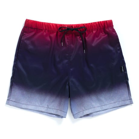 Gradation Board Shorts