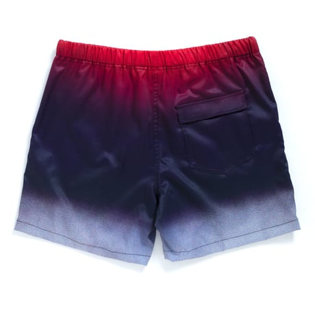 Gradation Board Shorts