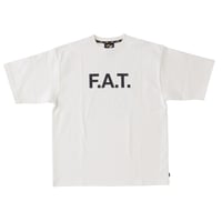 LAW     F32220-CT02