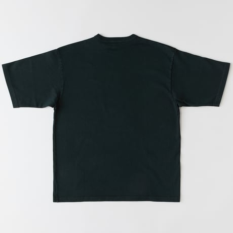 DYEMENTee     F32510-CT09