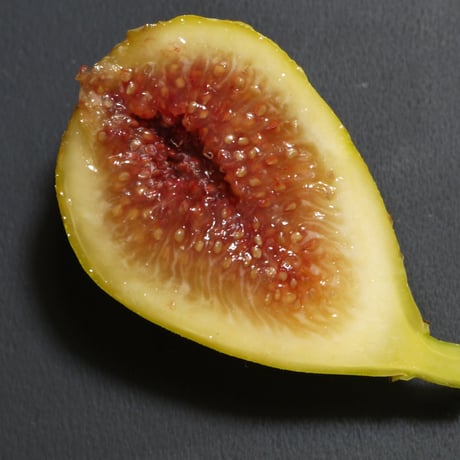 CATEGORY イチジク | Lynx Fruit Collection