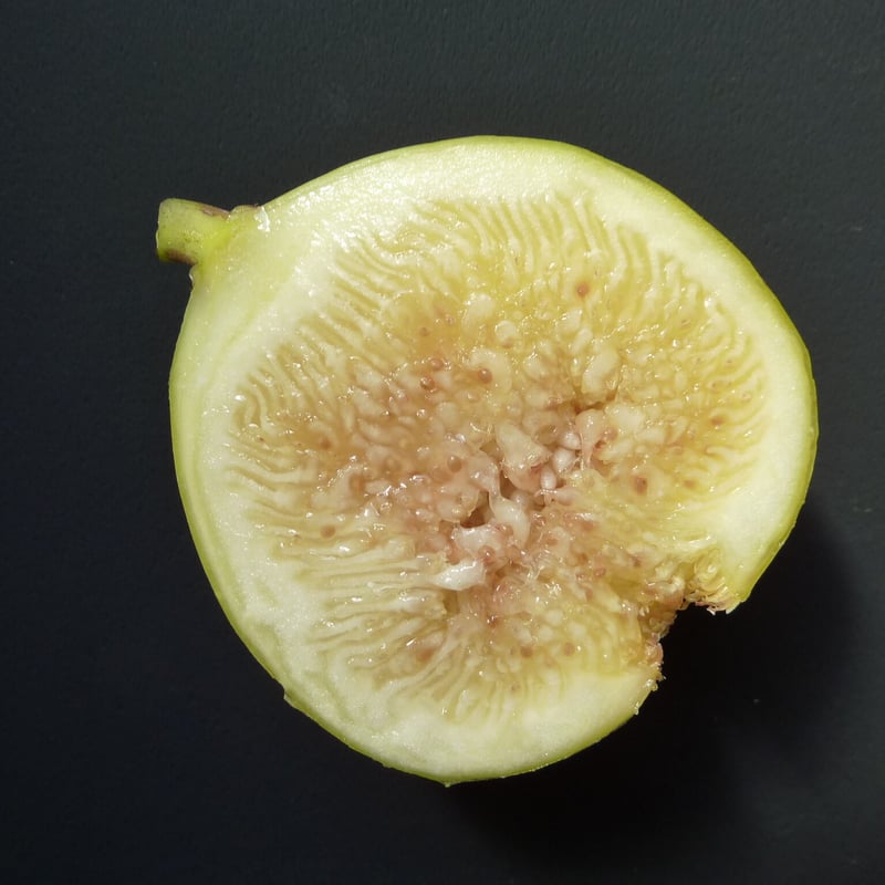 Deanna | Lynx Fruit Collection