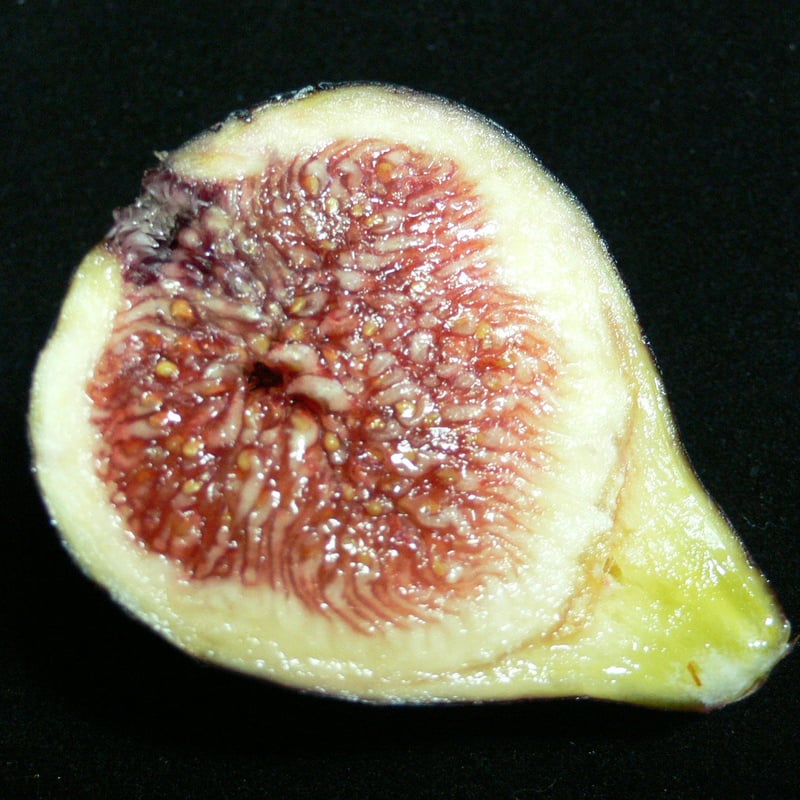 Noire de Barbentane | Lynx Fruit Collection