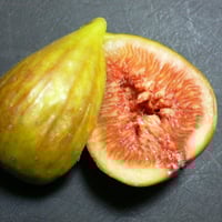 LSU Hollier | Lynx Fruit Collection