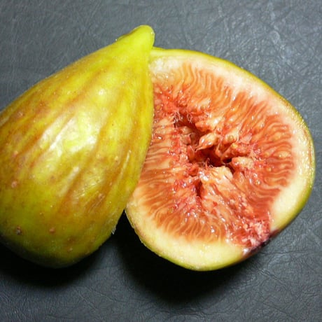 Lynx Fruit Collection Lynx Fruit Collection