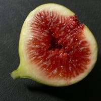 イチジク実付き大苗　 L S U Hollier mqdefault.jpg