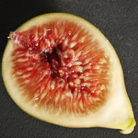 Blanche d'Argenteuil | Lynx Fruit Collection