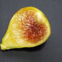 Abicou | Lynx Fruit Collection