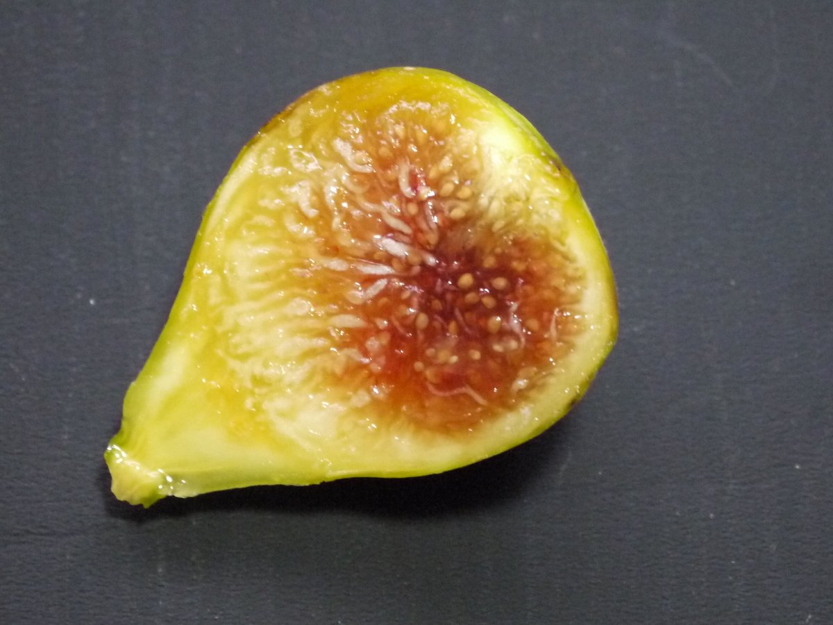 Sucrette | Lynx Fruit Collection Sucrette | Lynx Fruit Collection