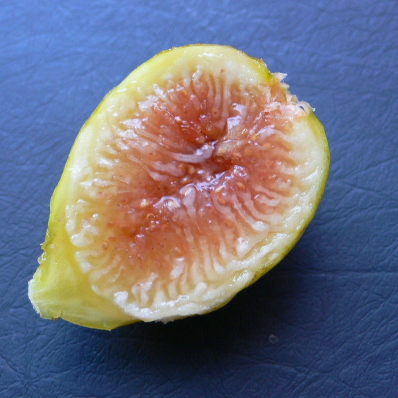 Figue De Marseill | Lynx Fruit Collection