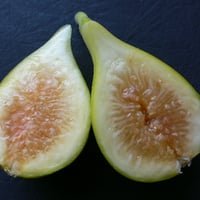 Noire de Barbentane | Lynx Fruit Collection