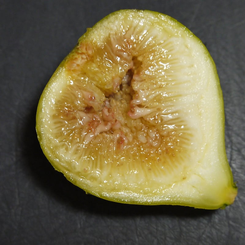 LSU Gold | Lynx Fruit Collection