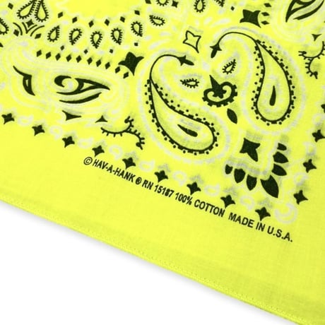 Hav-A-Hank Paisley Bandanna