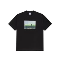 Polar Contrast Tee | Beach Walk - Black/Purple