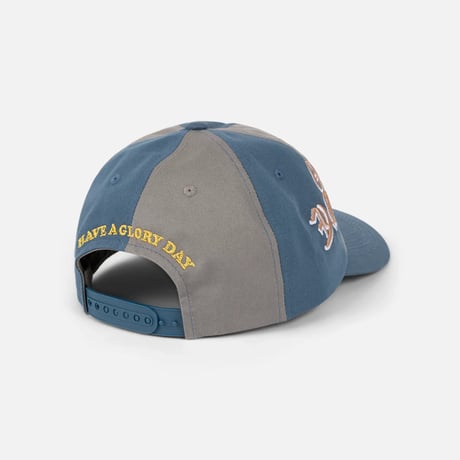 Dime Glo Dime Low Pro Cap - Gray/Storm blue