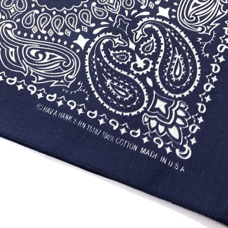 Hav-A-Hank Paisley Bandanna