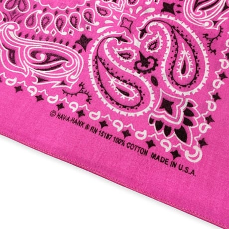 Hav-A-Hank Paisley Bandanna