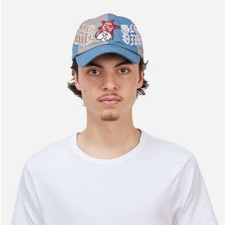 Dime Glo Dime Low Pro Cap - Gray/Storm blue
