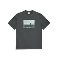 Polar Contrast Tee | Beach Walk - Graphite/Green